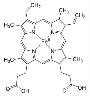 Heme_b