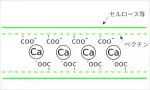 pectin_plus_ca