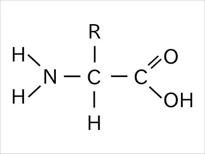 amino_acid