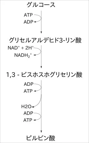 kaitoukei2