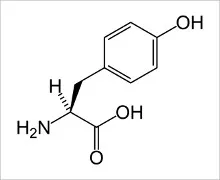 584px-L-tyrosine-skeletal