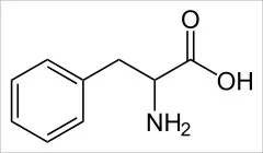 Phenylalanin_-_Phenylalanine